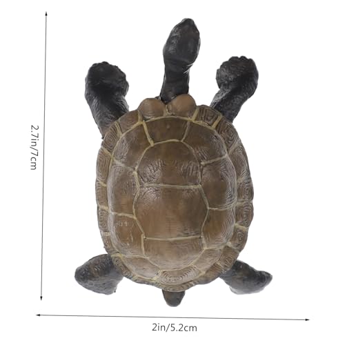 Hohopeti Lernspielzeug Schildkröten Wachstumszyklus Modell Realistische Lebenszyklus Figur Tierentwicklung Simulation Pädagogisch Hohopeti Lernspielzeug Schildkröten Wachstumszyklus Modell Realistische Lebenszyklus Figur Tierentwicklung Simulation Pädagogisch von Hohopeti