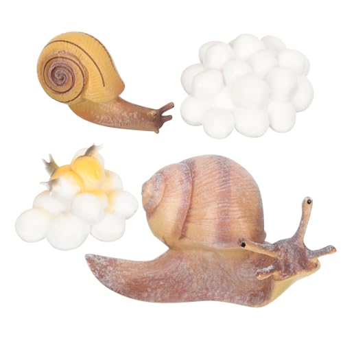 Hohopeti Lernspielzeug Tierwachstumszyklus Modelle Realistische Schnecke Huhn Figuren Pädagogisches Förderspielzeug Ab Jahren für Vorschule und Früherziehung von Hohopeti