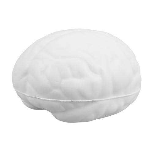 Hohopeti Menschliche Gehirnform Stressball aus PU Tragbares Matschiges für Stressabbau und Sensorische Robust für Handübungen Hohopeti Menschliche Gehirnform Stressball aus PU Tragbares Matschiges für Stressabbau und Sensorische Robust für Handübungen von Hohopeti