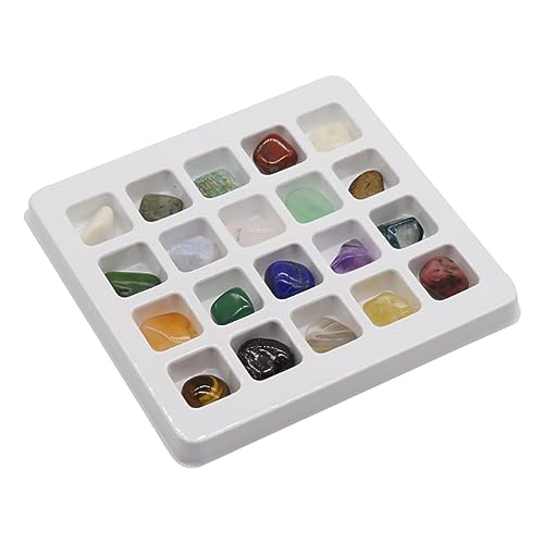 Hohopeti Mineralsteinproben für Lehrspielzeug zur Steinsammlung für Schulprojekte und Kreative Bastelarbeiten Teilig für Jungen und Ab Jahren von Hohopeti
