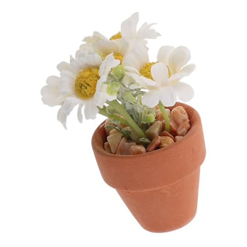 Hohopeti Miniaturpuppenhauspflanzen Und Blumen Daisy Blumendekor Für Dollhouse Dekorationen Gefälschte Gänseblümchen Mit Stiel Faux Daisy Blumen Winzige Pflanzen Für Office Desk Hohopeti Miniaturpuppenhauspflanzen Und Blumen Daisy Blumendekor Für Dollhouse Dekorationen Gefälschte Gänseblümchen Mit Stiel Faux Daisy Blumen Winzige Pflanzen Für Office Desk von Hohopeti