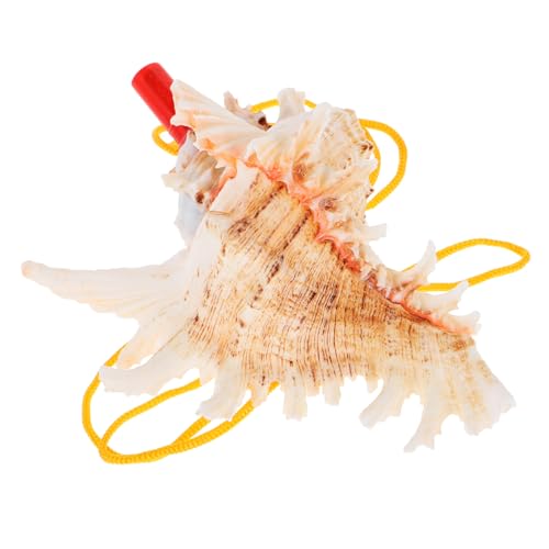 Hohopeti Muschel Meereshorn Horn Flöte aus Natürlicher Kinderpfeife mit Klarem Robustes Strandspielzeug Partygeburtstag Geschenkspielzeug von Hohopeti