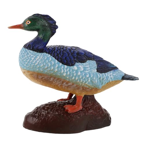 Hohopeti Ornamente Für Modell Im Freien Detaillierte Solide Erkenntnis Wildsimulation Dekorative Ente Stockente Gänsesäger Und Gartenstatue Figur Wildtiere Lebensechte von Hohopeti
