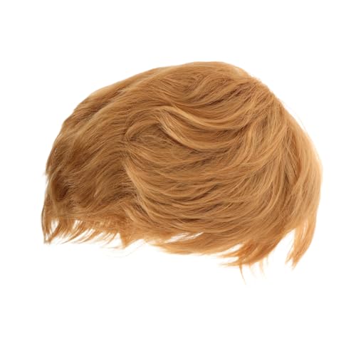 Hohopeti Herrenperücke Gold Kostüm Kurze Synthetische Perücken für Cosplay und Party-Kleidung von Hohopeti