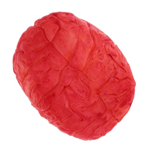 Hohopeti Realistisches Halloween Deko Gehirn Prop in Dunkelrot Lebensechte Gruselige Halloween Party Requisite für Horror Dekoration für Spukhaus Cosplay Hohopeti Realistisches Halloween Deko Gehirn Prop in Dunkelrot Lebensechte Gruselige Halloween Party Requisite für Horror Dekoration für Spukhaus Cosplay von Hohopeti