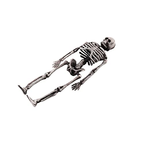Hohopeti Realistisches Halloween Mini Skelett Modell Robustes Knochen Deko Prank Prop für Detailgetreues Menschliches Skelett mit Natürlicher Optik für Innen und Außendekoration Hohopeti Realistisches Halloween Mini Skelett Modell Robustes Knochen Deko Prank Prop für Detailgetreues Menschliches Skelett mit Natürlicher Optik für Innen und Außendekoration von Hohopeti