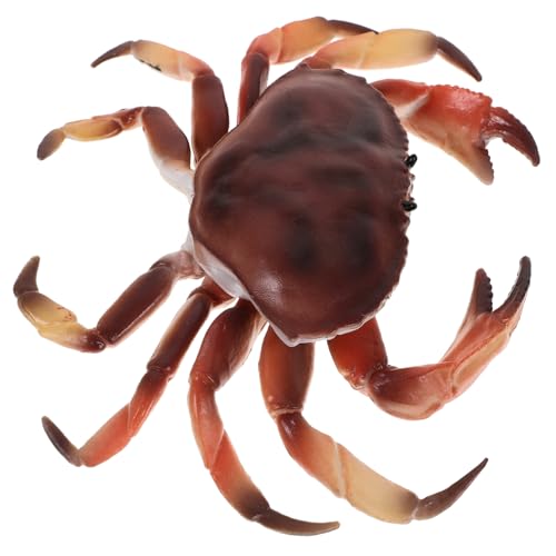 Hohopeti Realistisches Krabbenmodell Simulation Tierfigur Kunststoff Dekor Lernspielzeug für Wohnraum Leichte Detailgetreue Krabbenfigur Vielseitig Einsetzbar als Dekoration und Hohopeti Realistisches Krabbenmodell Simulation Tierfigur Kunststoff Dekor Lernspielzeug für Wohnraum Leichte Detailgetreue Krabbenfigur Vielseitig Einsetzbar als Dekoration und von Hohopeti