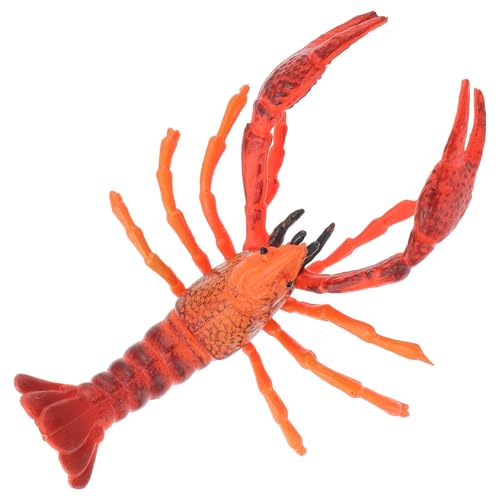 Hohopeti Realistisches Lobster Modellspielzeug Lebensechte Lernspielzeug Langlebige Dekofigur aus Hochwertigem Material Pädagogisch Wertvoll Geschenkidee für Junge Mädchen Hohopeti Realistisches Lobster Modellspielzeug Lebensechte Lernspielzeug Langlebige Dekofigur aus Hochwertigem Material Pädagogisch Wertvoll Geschenkidee für Junge Mädchen von Hohopeti