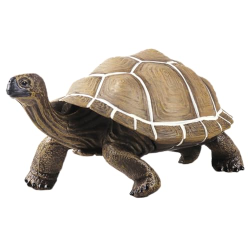 Hohopeti Realistisches Schildkröten Modell Detailgetreu für Tiererkennung Lernhilfe Geschenk Geburtstag Weihnachten Hohopeti Realistisches Schildkröten Modell Detailgetreu für Tiererkennung Lernhilfe Geschenk Geburtstag Weihnachten von Hohopeti