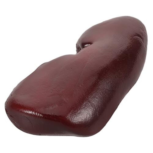 Hohopeti Simulierte Schweinetaile Halloween Dekor Simulationsniere Requisite Streich Halloween Nierenwitze Streich Nieren Requisite Cosplay Nierensimulation Gefälschte Niere Hohopeti Simulierte Schweinetaile Halloween Dekor Simulationsniere Requisite Streich Halloween Nierenwitze Streich Nieren Requisite Cosplay Nierensimulation Gefälschte Niere von Hohopeti