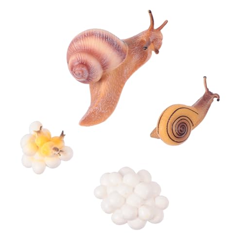 Hohopeti Simulierte Tierfiguren Set aus Ungiftigem Kunststoff Lebenszyklus Lernspielzeug und Garten Deko Umweltfreundliche Lehrmittel für Sichere Glatte Oberfläche Vielseitige Nutzung als Hohopeti Simulierte Tierfiguren Set aus Ungiftigem Kunststoff Lebenszyklus Lernspielzeug und Garten Deko Umweltfreundliche Lehrmittel für Sichere Glatte Oberfläche Vielseitige Nutzung als von Hohopeti