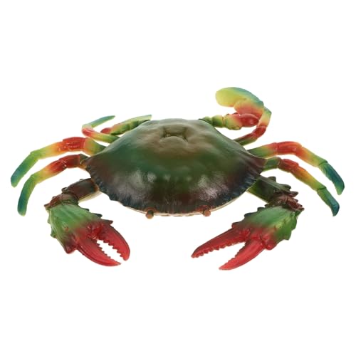 Hohopeti Simuliertes Krabben spielset Lernmodell Krabbe Pädagogisches für Jungen Mädchen Ab Jahren Kreatives Meeresdekor Hohopeti Simuliertes Krabben spielset Lernmodell Krabbe Pädagogisches für Jungen Mädchen Ab Jahren Kreatives Meeresdekor von Hohopeti