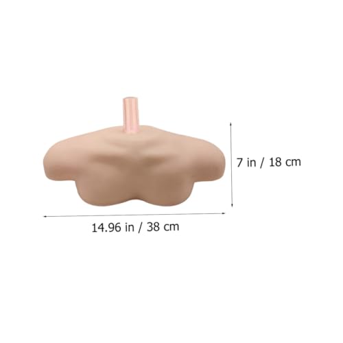 Hohopeti Simuliertes Schultermodell aus PVC Einsetzbar für Kosmetik Friseurausbildung Feine Details Praktisches Lehrmittel für Salon und Zuhause Geeignet für Übung und Spiel von Hohopeti