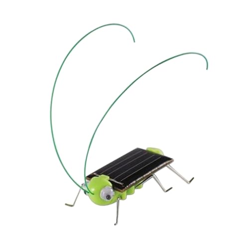 Hohopeti Solarspielzeug für Kinder solar Spielzeug Solarbetriebenes Spielzeug Pädagogisches Spielzeug für Kinder Spielzeuge Solarpanel-Spielzeug Lernspielzeug Insekt Solarplatten Student von Hohopeti