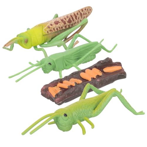 Hohopeti Tierwachstumszyklus Modell Realistische Kognitive Lernspielzeuge für Frühe Bildung Tierentwicklung Anschauliche Figuren für Schule und Familie Hohopeti Tierwachstumszyklus Modell Realistische Kognitive Lernspielzeuge für Frühe Bildung Tierentwicklung Anschauliche Figuren für Schule und Familie von Hohopeti