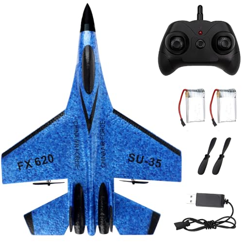 Hojalis F-22 RC Flugzeug Ferngesteuert, 2,4 GHz 3 Kanal Modellflugzeug, Outdoor-Schaumstoff, Mit Gyro Stabilisierungssystem für Anfänger Kinder von Hojalis