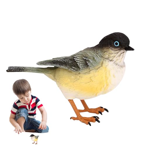 Holdes Vogelfiguren für – Spielzeug von Linnet, stimuliert mit realistischen Details, Entwicklungsset, Spielzeug, Vögel, Spielzeug, Spielset, Tiere, Spielzeug, Sammlung Holdes Vogelfiguren für – Spielzeug von Linnet, stimuliert mit realistischen Details, Entwicklungsset, Spielzeug, Vögel, Spielzeug, Spielset, Tiere, Spielzeug, Sammlung von Holdes