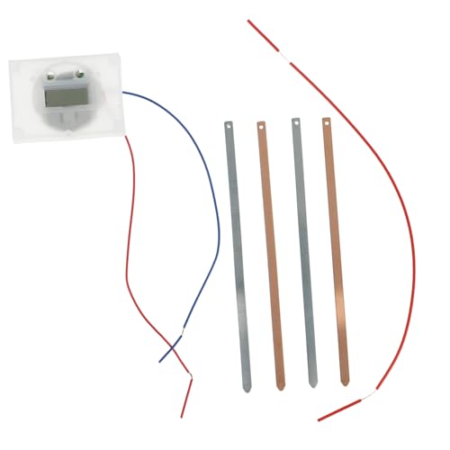 Holibanna 1Satz Fruchtbatterie für Wissenschaftliches Experiment mit Elektronische Uhr und DIY Bausatz Lernspielzeug Kreativität und Robustes von Holibanna