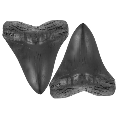 Holibanna 2Stücke Realistische Megalodon Replikate Aus Harz Dekorative Prähistorische Haifischzähne Detailgetreue Nachbildung Für Sammler Und Bildungszwecke Holibanna 2Stücke Realistische Megalodon Replikate Aus Harz Dekorative Prähistorische Haifischzähne Detailgetreue Nachbildung Für Sammler Und Bildungszwecke von Holibanna