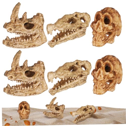 Holibanna 6 Stück Tierschädel Aus Kunststoff Realistischer Zum Basteln Von Aquarium Dekorationen Mini Totenköpfe Tiere Für Terrarien Aquarium Figuren Schreibtisch Holibanna 6 Stück Tierschädel Aus Kunststoff Realistischer Zum Basteln Von Aquarium Dekorationen Mini Totenköpfe Tiere Für Terrarien Aquarium Figuren Schreibtisch von Holibanna