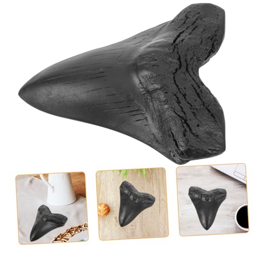 Holibanna Replik Eines Megalodon Zahns Echt Bausatz Grabungsset Paläontologie Schmuck Echtes Modell Schreibtischdekoration von Holibanna