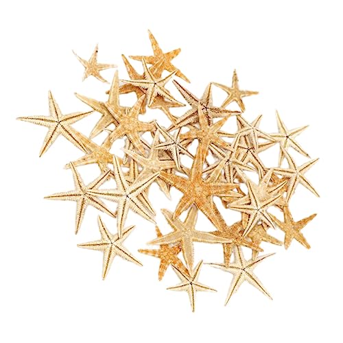 Holibanna Mini Seestern Dekoration Mikro Strass Skulpturen für DIY Kunsthandwerk Perfektes für Puppenhaus und Mini Einfache Anwendung Holibanna Mini Seestern Dekoration Mikro Strass Skulpturen für DIY Kunsthandwerk Perfektes für Puppenhaus und Mini Einfache Anwendung von Holibanna