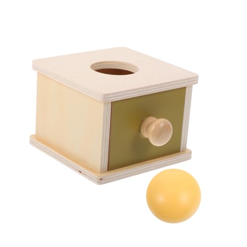 Holibanna Montessori Holzspielzeug Ballwurf Lernspielzeug für Kleinkinder Hand SEH Koordination Motorikförderung Robuster BAU Entwicklungsset für Jungen Mädchen von Holibanna