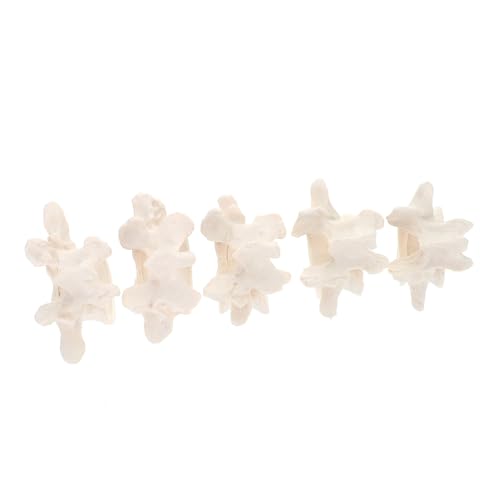 Holibanna PVC Flexibel Leichtgewichtig für Medizinische Lehre Patientenedukation und Laborbedarf Geeignet Holibanna PVC Flexibel Leichtgewichtig für Medizinische Lehre Patientenedukation und Laborbedarf Geeignet von Holibanna