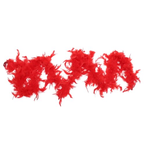 Holibanna Plume Boa Dekoration Für Und Partys Fluffige Federboa Für Kostüme Accessoire Für Halloween Und Theateraufführungen von Holibanna
