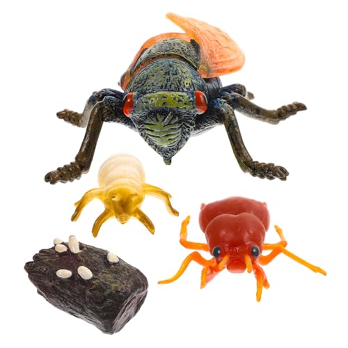 Holibanna Simulation Zikaden Wachstumszyklus Modell Realistische Insekten Nachbildung Pädagogisches und Dekoratives Lernobjekt für Naturgetreue Gestaltung Vorstellungskraft und Holibanna Simulation Zikaden Wachstumszyklus Modell Realistische Insekten Nachbildung Pädagogisches und Dekoratives Lernobjekt für Naturgetreue Gestaltung Vorstellungskraft und von Holibanna