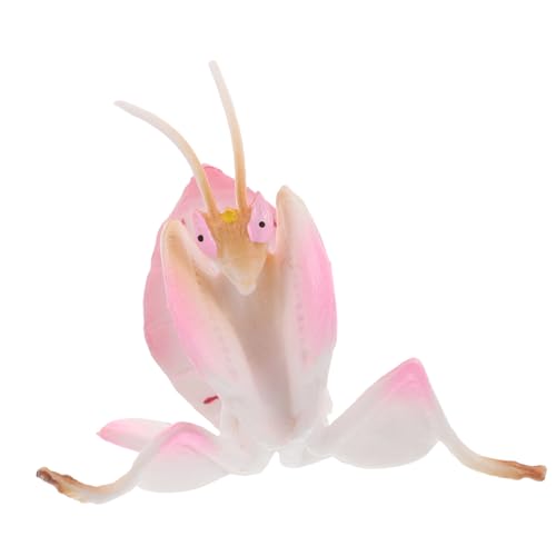 Holibanna Simulationstiermodell Tiermodelle für Wissenschaftliche Spielzeuge Kunststoff Insekten Insekten Erzieherisches Bug-Modell gefälschte Fehler Plastik Rosa von Holibanna