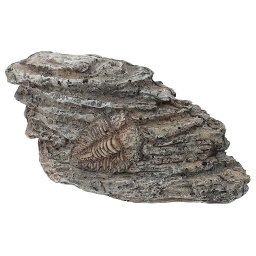 Holibanna Trilobiten-exemplardekor Trilobiten-ornament Paläontologisches Trilobit-ornament Trilobit Zur Verzierung Trilobiten- Trilobiten-exemplarornament Harz Holibanna Trilobiten-exemplardekor Trilobiten-ornament Paläontologisches Trilobit-ornament Trilobit Zur Verzierung Trilobiten- Trilobiten-exemplarornament Harz von Holibanna