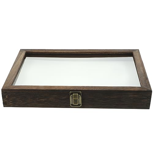 Homoyoyo 1 Set-box Kästchen Mit Insektenproben Fall Von Insektenproben Schmetterlingsanzeige Exemplare Drinnen Schmetterlinge Für Winziger Probenbehälter Musterkoffer Rustikal Acryl von Homoyoyo