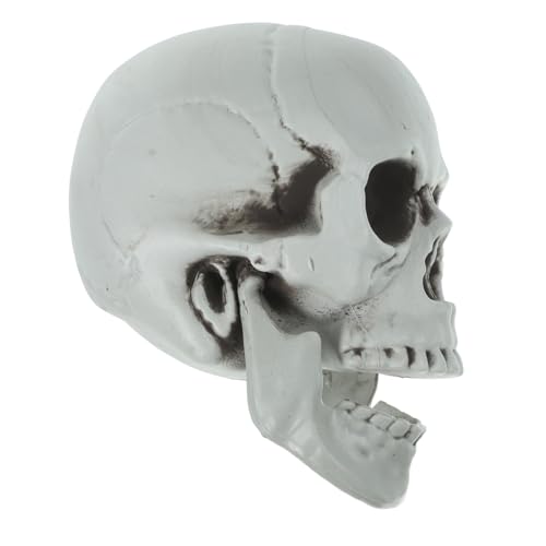 Homoyoyo Halloween- -Ornamente 2er-Pack Gruselige -Requisiten Kunststoff-Skelett- - Für Party-zubehör von Homoyoyo