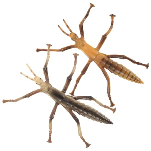Homoyoyo 2 Stück Simulierte Stabheuschrecken Modelle Langlebige Insektenfiguren Pädagogisches Insektenspielzeug für Naturforscher und Realistische Insekten Dekoration zur Biologischen von Homoyoyo