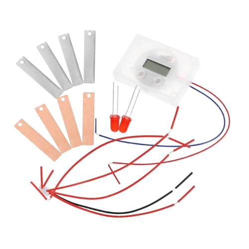 Homoyoyo 2Sätze DIY Obstbatterie Experimentierset Teiliges für Fördert Wissenschaftliches Lernen und Analytische Fähigkeiten Langlebig und Wiederverwendbar für Spannende von Homoyoyo
