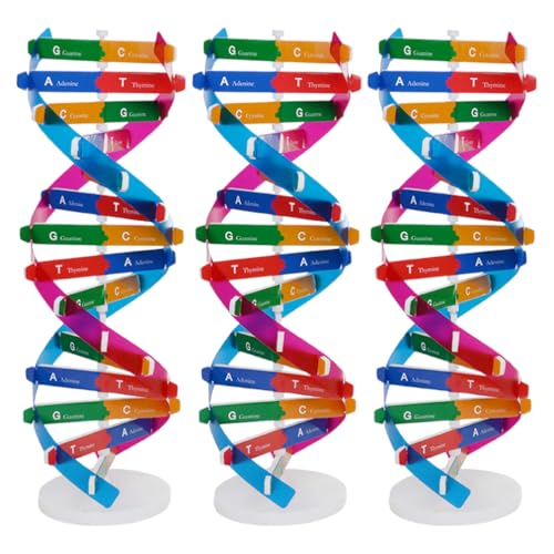 Homoyoyo 3-Teiliges Modell: DIY-Doppelhelix-Modellbausatz – Wissenschaftliches Gen-Lernwerkzeug Für Schüler – Molekularstruktur-Spielzeug Für Die Biologie Homoyoyo 3-Teiliges Modell: DIY-Doppelhelix-Modellbausatz – Wissenschaftliches Gen-Lernwerkzeug Für Schüler – Molekularstruktur-Spielzeug Für Die Biologie von Homoyoyo
