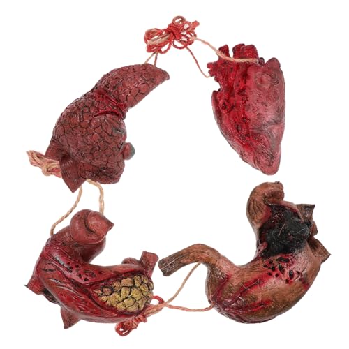 Homoyoyo 4 Stück Realistische Halloween Deko Teiliges Hängende Gruselige Organe für Party Wand Fenster Baumdekoration für Haunted House und Festival Szene Homoyoyo 4 Stück Realistische Halloween Deko Teiliges Hängende Gruselige Organe für Party Wand Fenster Baumdekoration für Haunted House und Festival Szene von Homoyoyo