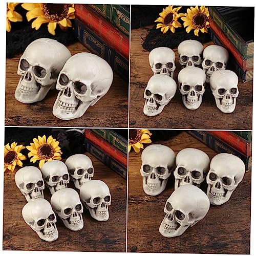 Homoyoyo 6er Set Realistische Plastikschädel - Menschliche Skelettkopfschädel Figuren Für Gruselige Dekoration - Halloween Partys Und Fotografie Detailgetreue Statuen Für Ihr Homoyoyo 6er Set Realistische Plastikschädel - Menschliche Skelettkopfschädel Figuren Für Gruselige Dekoration - Halloween Partys Und Fotografie Detailgetreue Statuen Für Ihr von Homoyoyo
