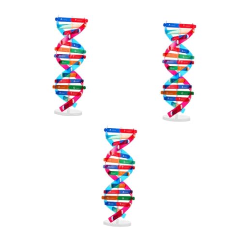 Homoyoyo DNA Doppelhelix Modell Für Und Erwachsene – Pädagogisches Lehrinstrument Zur Veranschaulichung Der Genetik – Wissenschaftliches Für Schule Und Labor – Ideal Für Experimente Und von Homoyoyo