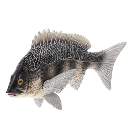 Homoyoyo Imitation Fisch Modell Dekoration Solides Tiermodell Pädagogisches für Lernspielzeug für Hause Schule und Freizeit Hochwertiges Kunststoffmaterial Leicht und Tragbar Homoyoyo Imitation Fisch Modell Dekoration Solides Tiermodell Pädagogisches für Lernspielzeug für Hause Schule und Freizeit Hochwertiges Kunststoffmaterial Leicht und Tragbar von Homoyoyo