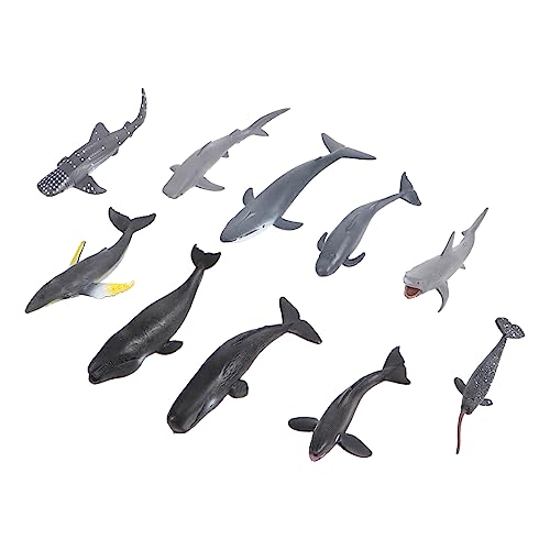 Homoyoyo Miniatur Meerestiere Figuren Set – 10 Stück Tiere Aus Kunststoff Für – Pädagogisches Lernspielzeug - Aquarium Dekoration Und Geschenkidee Für Kleine Entdecker von Homoyoyo