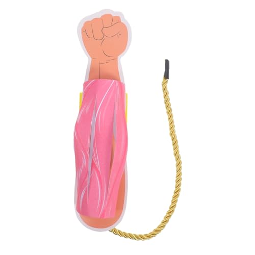 Homoyoyo Muskelmodell Muskeln Miniatur Muskeldarstellungsmodell Physiologie Glied Kleines Skelett Menschlich Muskelfasermodell Anatomisch Muskulös Oberer, Höher Körper Papier Homoyoyo Muskelmodell Muskeln Miniatur Muskeldarstellungsmodell Physiologie Glied Kleines Skelett Menschlich Muskelfasermodell Anatomisch Muskulös Oberer, Höher Körper Papier von Homoyoyo