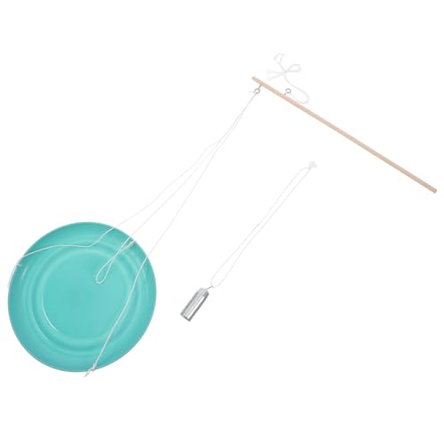 Homoyoyo Polskala Wissenschaftsspielzeug Handwerk Kit Lernspielzeug Physik Experiment kinderspielzeug Wissenschaftliches aus Holz Wissenschaftliche Gadgets Wissenschafts-Kit Eisen von Homoyoyo
