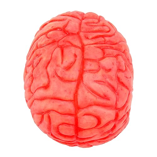 Homoyoyo Realistisches Halloween Gehirn Modell - Blutige Dekoration Für Gruselige Partys - Perfekte Requisite Für Spukhäuser Künstliches Gehirn Für Schaurige Effekte Und Schockierende Homoyoyo Realistisches Halloween Gehirn Modell - Blutige Dekoration Für Gruselige Partys - Perfekte Requisite Für Spukhäuser Künstliches Gehirn Für Schaurige Effekte Und Schockierende von Homoyoyo