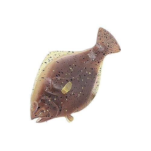 Homoyoyo Realistisches Unterwasser- Set Mit Flunder Und Meerestieren – Ideal Für Aquarien - Kinderspielzeug Und Kreative Spielstunden – Hochwertige Kunststoff Fische Für Und Sammler Homoyoyo Realistisches Unterwasser- Set Mit Flunder Und Meerestieren – Ideal Für Aquarien - Kinderspielzeug Und Kreative Spielstunden – Hochwertige Kunststoff Fische Für Und Sammler von Homoyoyo