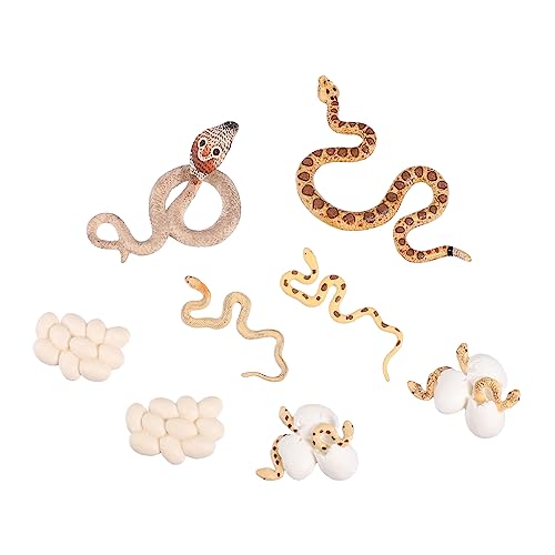 Homoyoyo Und Python Wachstum Zyklus Figuren Set – Lebensechte Amphibische Modelle Für - Ideal Zum Und Lernen Über Tierlebenszyklen - 2 Teiliges Set Homoyoyo Und Python Wachstum Zyklus Figuren Set – Lebensechte Amphibische Modelle Für - Ideal Zum Und Lernen Über Tierlebenszyklen - 2 Teiliges Set von Homoyoyo