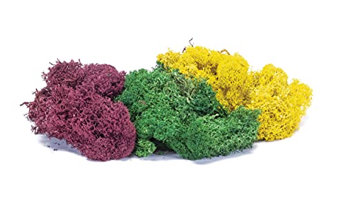 Flechten, große Herbst-Mischung, 75 g (Pack of 1) von Hornby