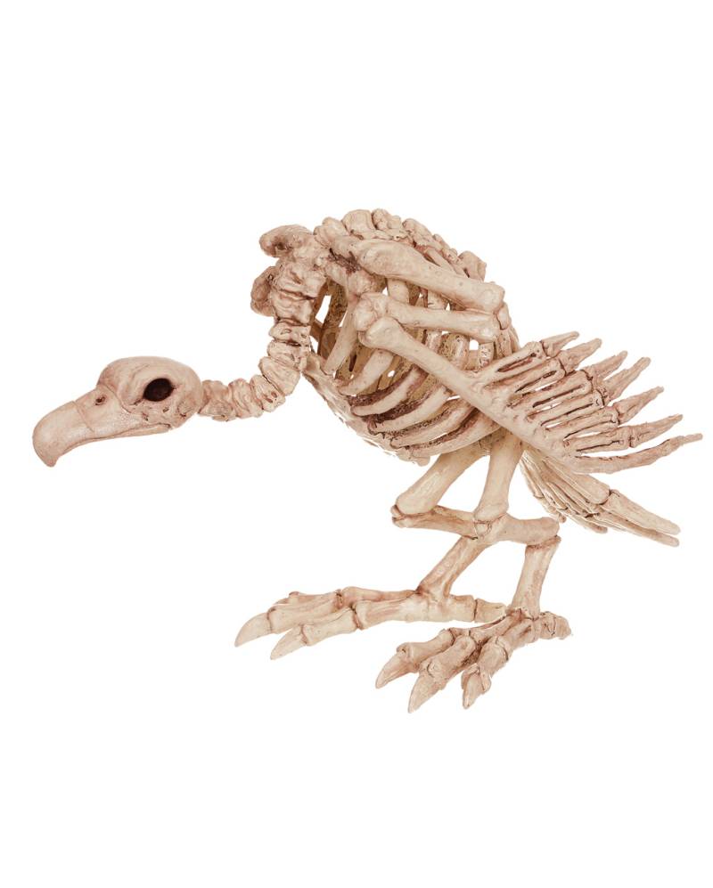 Aasgeier Skelett aus Kunststoff kaufen von Horror-Shop.com