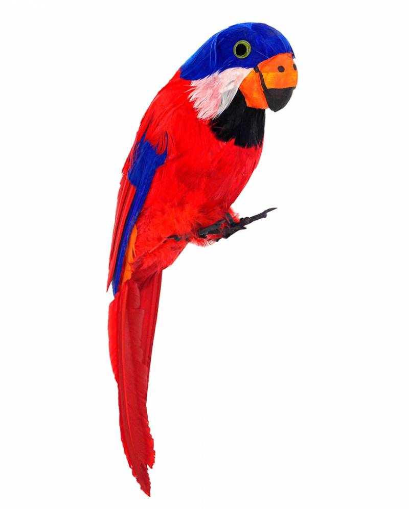 Gefiederter Papagei rot und blau